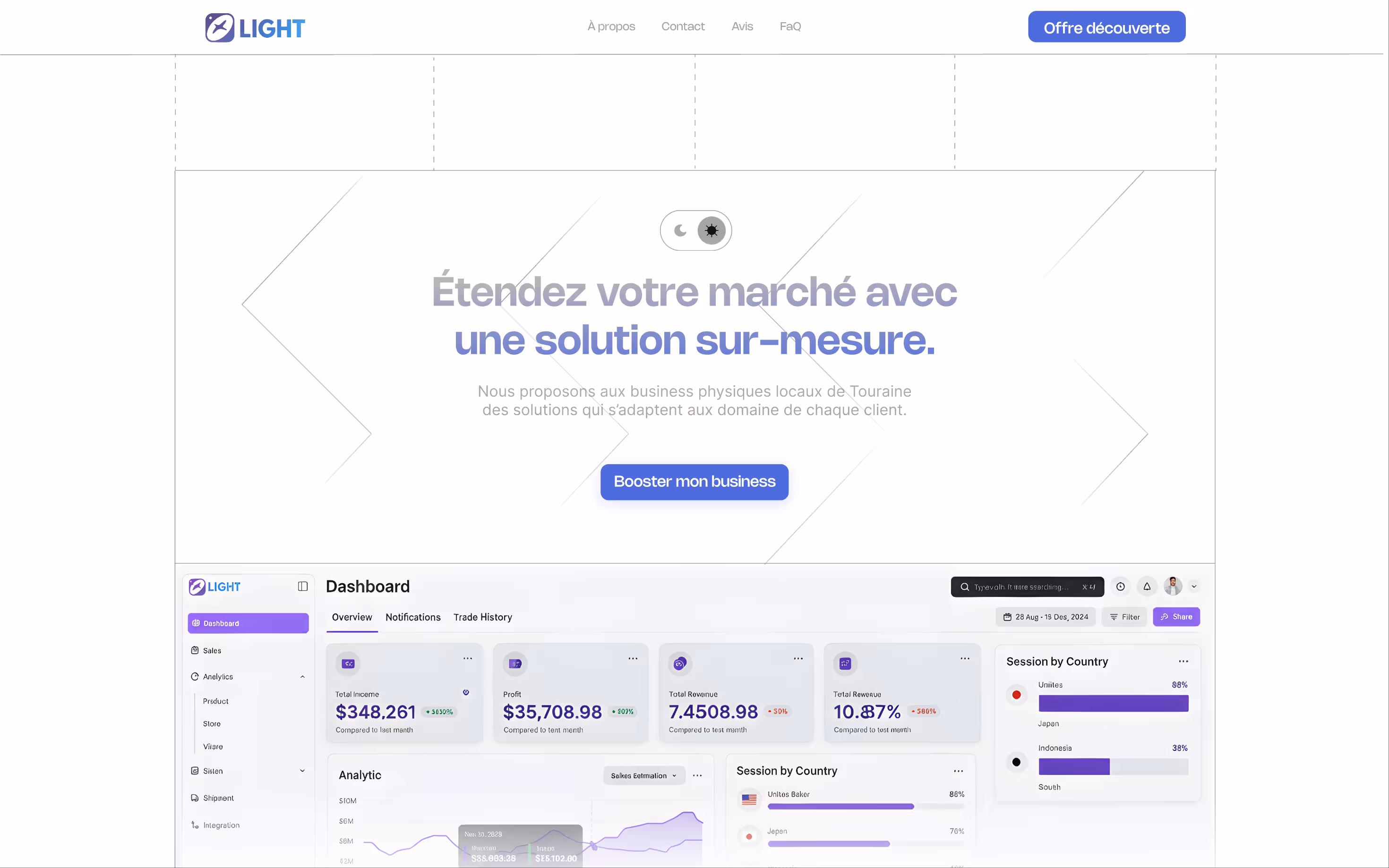 Website homepage in French showing a custom business solution offer with a dashboard preview displaying income, profit, revenue, and session by country statistics.